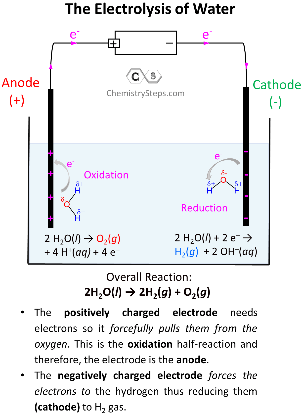 Electrolysis of Water