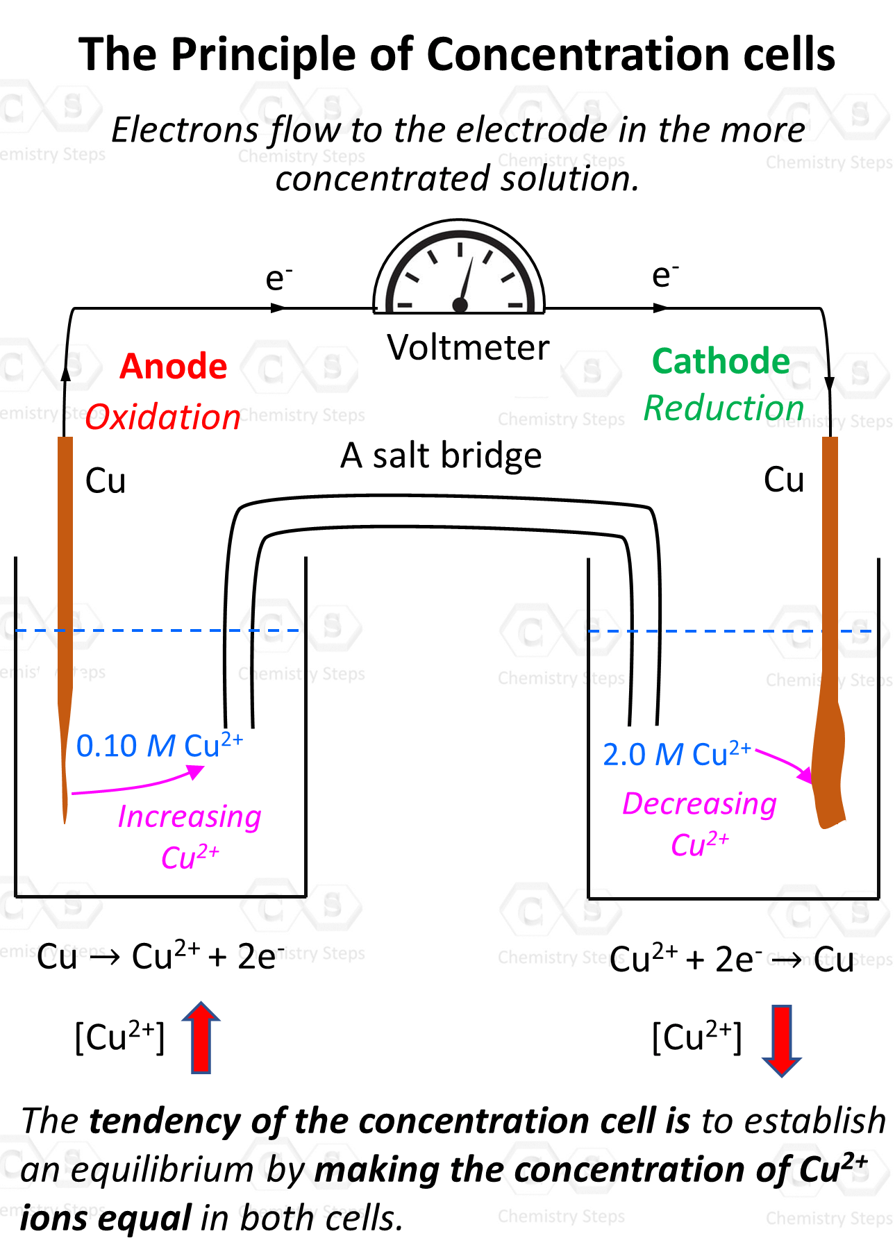 The Principle of Concentration cells